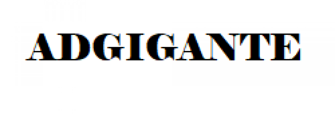 Adgigante – Website Development & Designing Agency