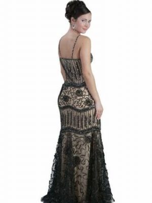 cinderella evening dress back