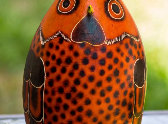 Peruvian Owl Gourd Ornament
