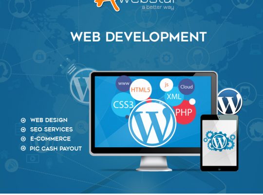 Affordable and Trusted Web Development Company in Singapore