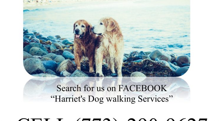 Dog Walking Services
