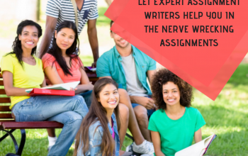 Business, Management, Economics, Marketing assignments and essay writing services.