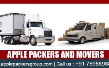 Apple Packers and Movers in Surat