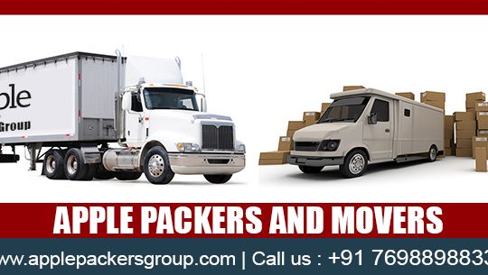 Apple Packers and Movers in Surat