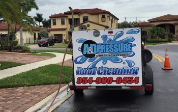 Professional pressure washing services