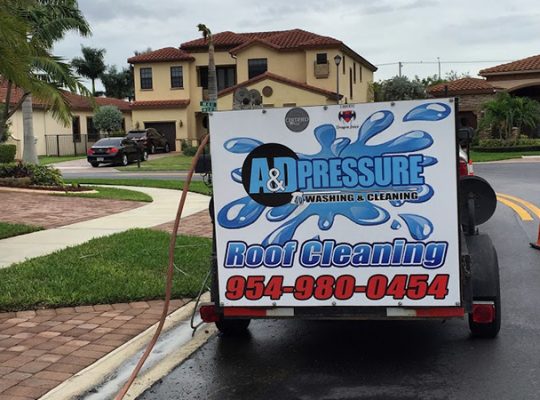 Professional pressure washing services