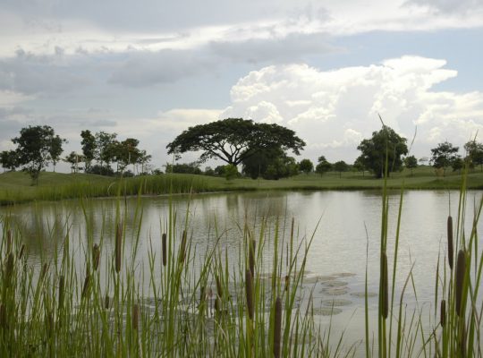 Bulacan Residential Lot inside Royal Northwoods Golf and Country Club