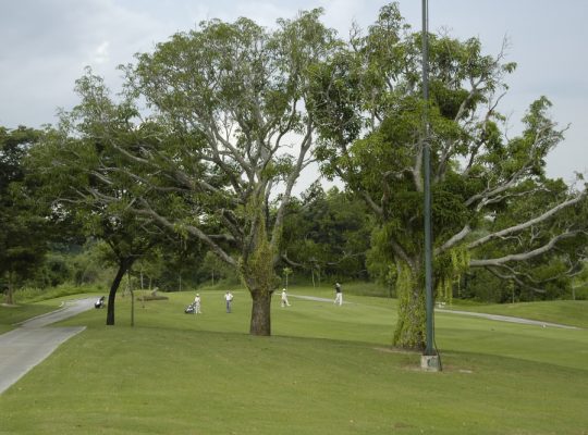 Bulacan Residential Lot inside Royal Northwoods Golf and Country Club