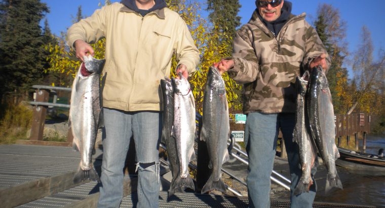 Alaska Halibut Fishing Charter For Homer Fishing