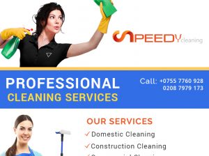 Home Cleaners In London UK