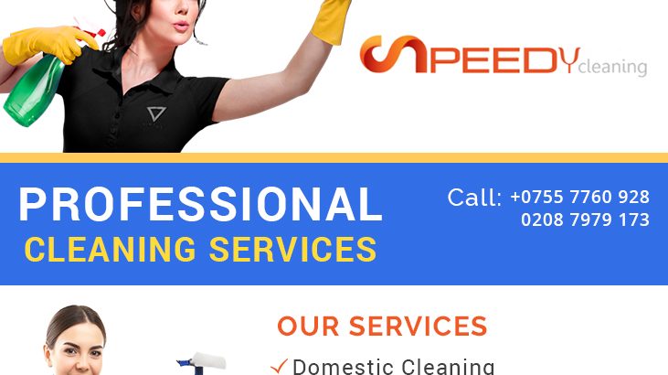 Home Cleaners In London UK