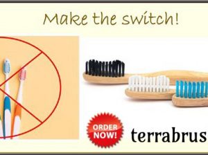 Buy Bamboo Toothbrush Pack of 4 Online – Terrabrush.in