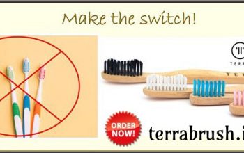 Buy Bamboo Toothbrush Pack of 4 Online – Terrabrush.in