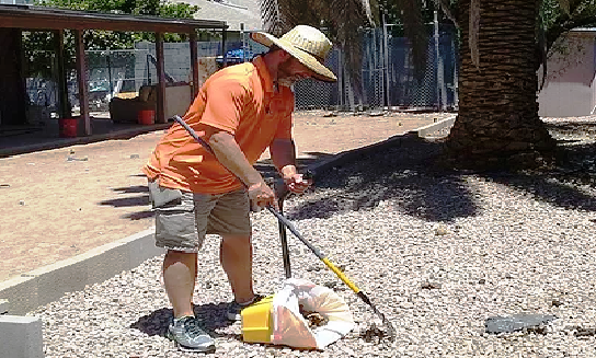 Dog Poop Cleaning Services AZ