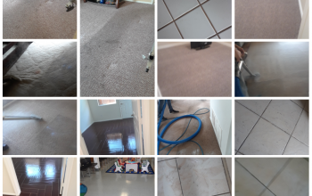 Professional steam carpet and tile cleaners