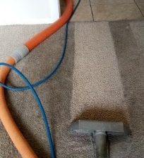 Affordable Carpet Cleaning service