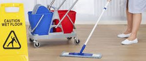 Professional Cleaning Service Orange County, Orange County Cleaning Se