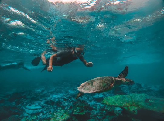 Best Diving Shops In Okinawa