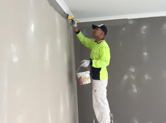 Reputed Exterior Painting Companies in Melbourne