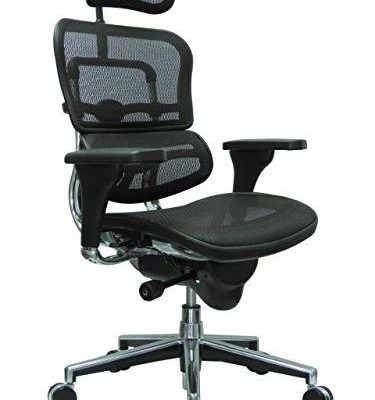 Ergohuman High Back Swivel Chair with Headrest, Black Mesh