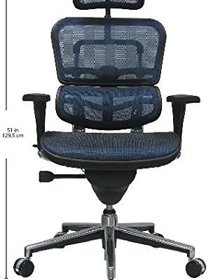 Ergohuman High Back Swivel Chair with Headrest, Black Mesh