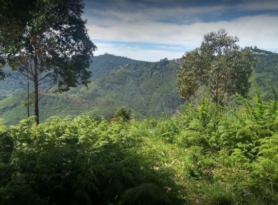 DTCP approved Residential Plots for sale at Kodaikanal