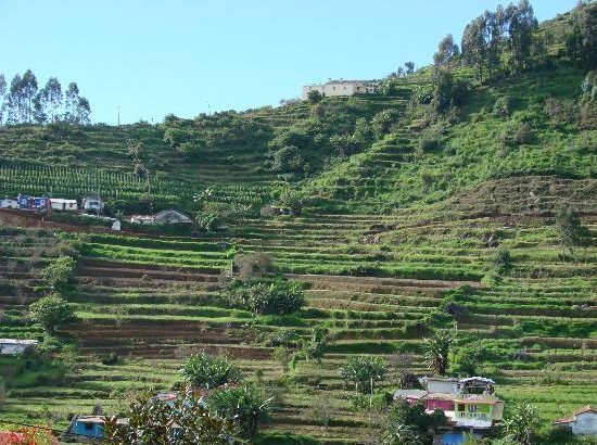 DTCP approved Residential Plots for sale at Kodaikanal