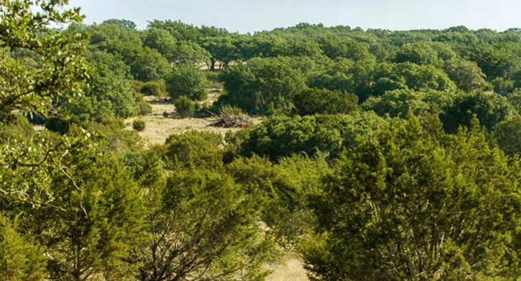 Texas Ranches For Sale | Texas Hunting Land for Sale