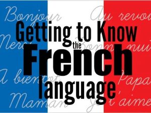 French language coaching classes in Jaipur – Noorvis academy