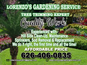 Lorenzo’s Gardening Service