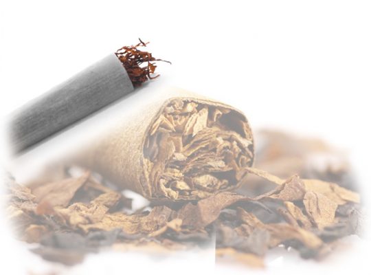 Buy Easy to Roll Custom Rolling Papers at Exciting Prices