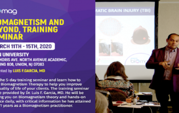 Biomagnetism and Beyond, Training Seminar March 11th-15th, 2020