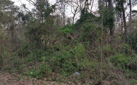 LAND FOR SALE BY OWNER