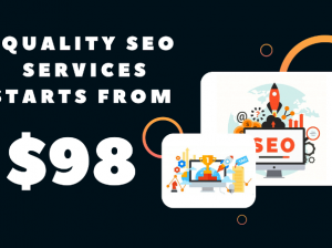 Our Quality SEO Services Starts From $98. Hit us up, & let us optimize your website.