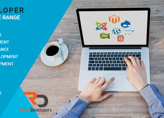 RizviDeveloper is a professional website design and development Freelance company in Delhi, India