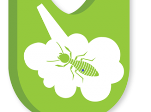 Pest control services in Chennai