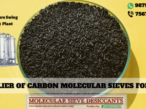 carbon molecular sieves manufacturers in india