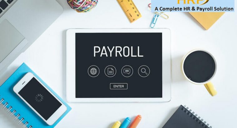 Payroll Services | Payroll Outsourcing – Accent Consulting