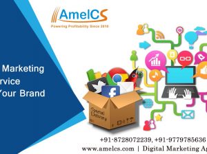 Best SEO Services in Chandigarh