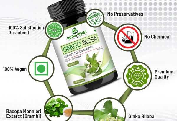 Best Ginkgo Biloba to Improve Brain Function and Learning Ability