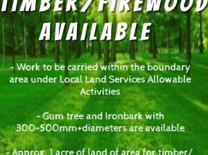 Free Timber/Firewood Available