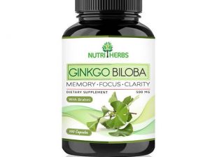 Best Ginkgo Biloba to Improve Brain Function and Learning Ability