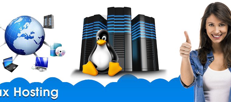 Things to consider while finding the best Linux hosting plan