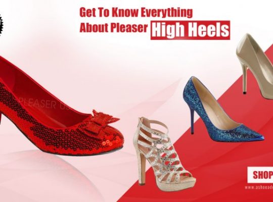 How To Get To Know Everything About Pleaser High Heels