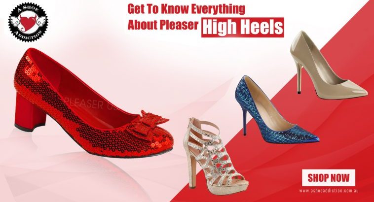 How To Get To Know Everything About Pleaser High Heels