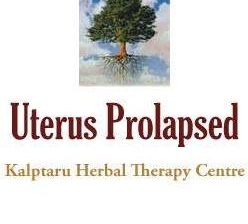 Find Best Uterus Prolapse Treatment  