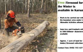 Free Firewood for the Winter is available in Karuah