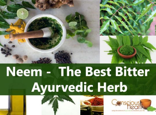 Neem – The Best Bitter Ayurvedic Herb