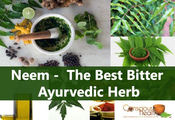 Neem – The Best Bitter Ayurvedic Herb