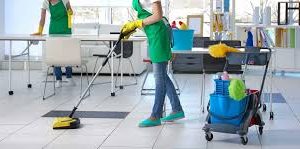 Book cleaners Sydney for deep window & strata cleaning services